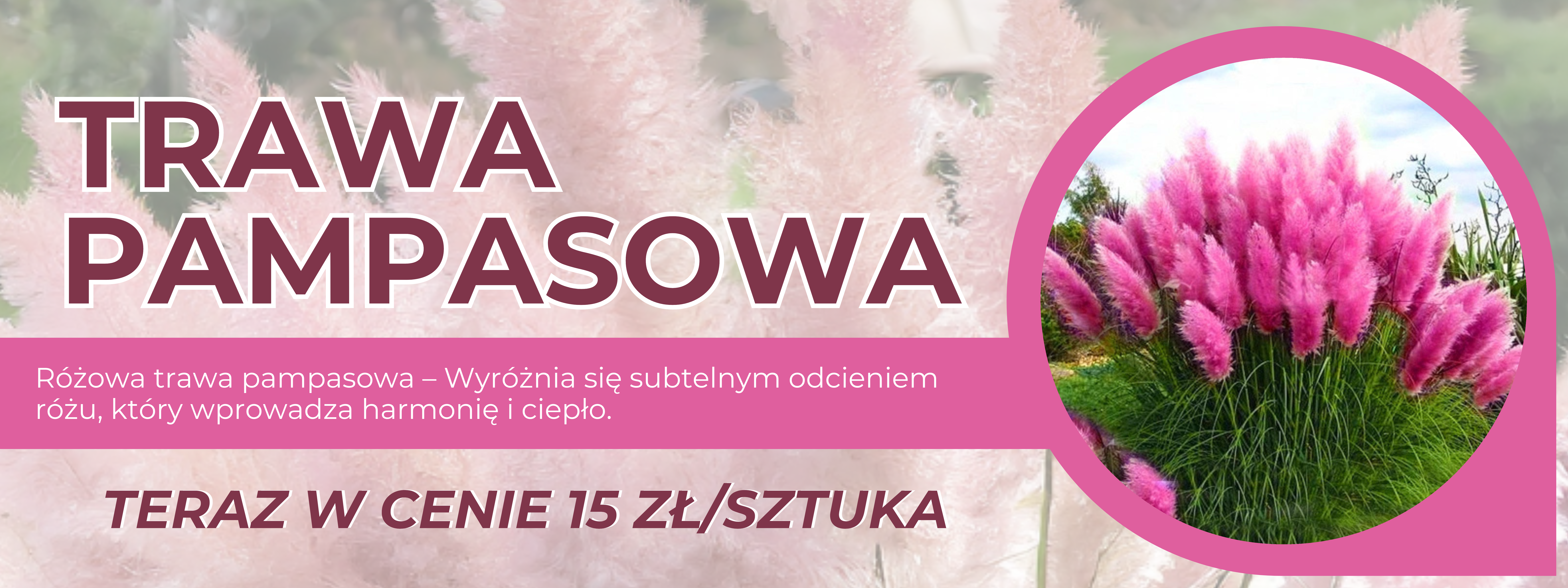 Green and Orange Modern Crop Seed Outdoor Banner (3)