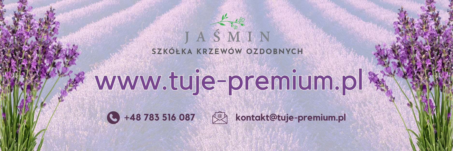 wielkie otwarcie (1)